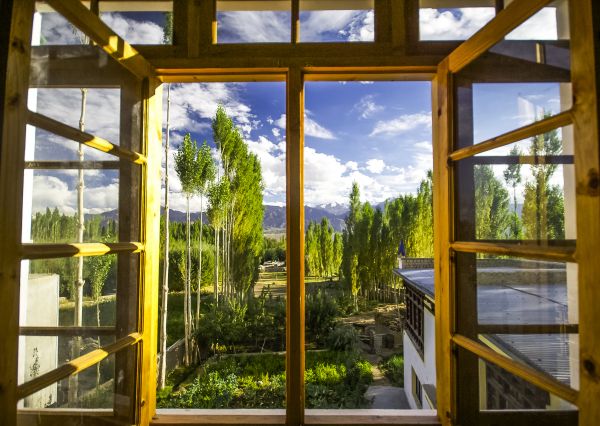 Wood Window Replacement in Hayward